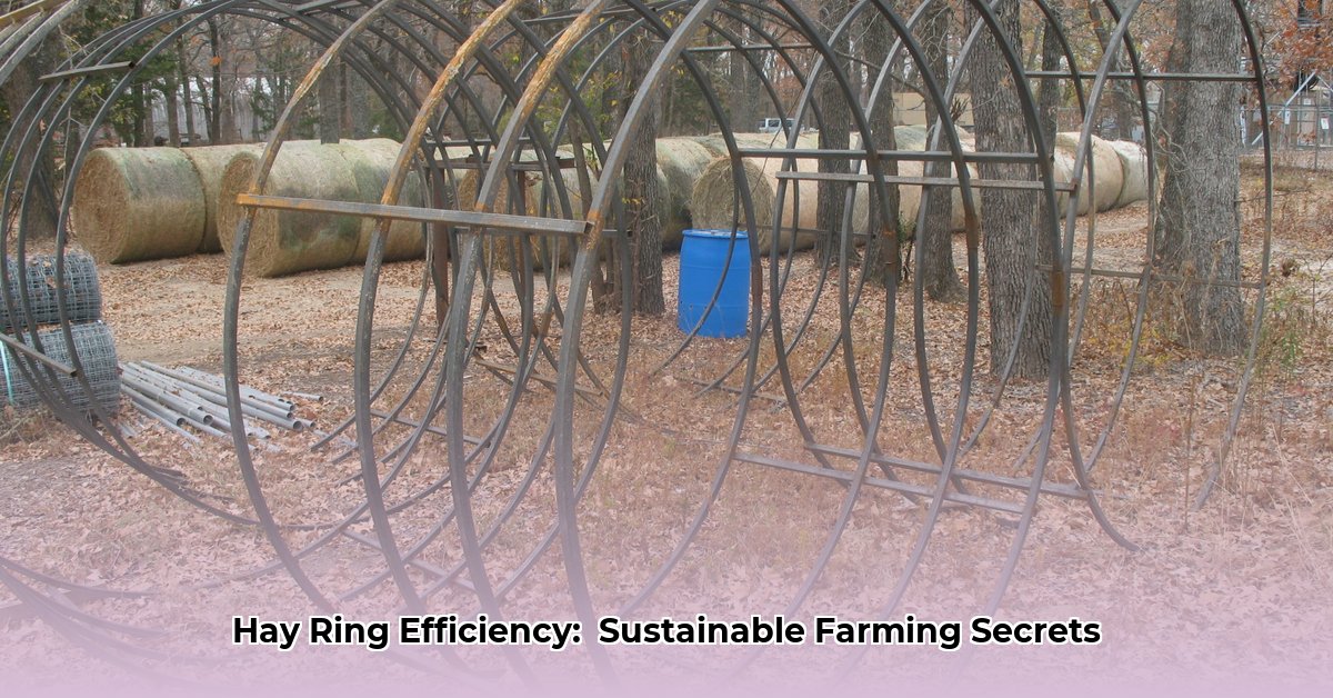 hay-rings-at-tractor-supply